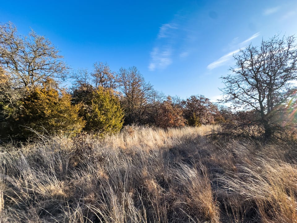 Sandy Cedar Hunting Farm