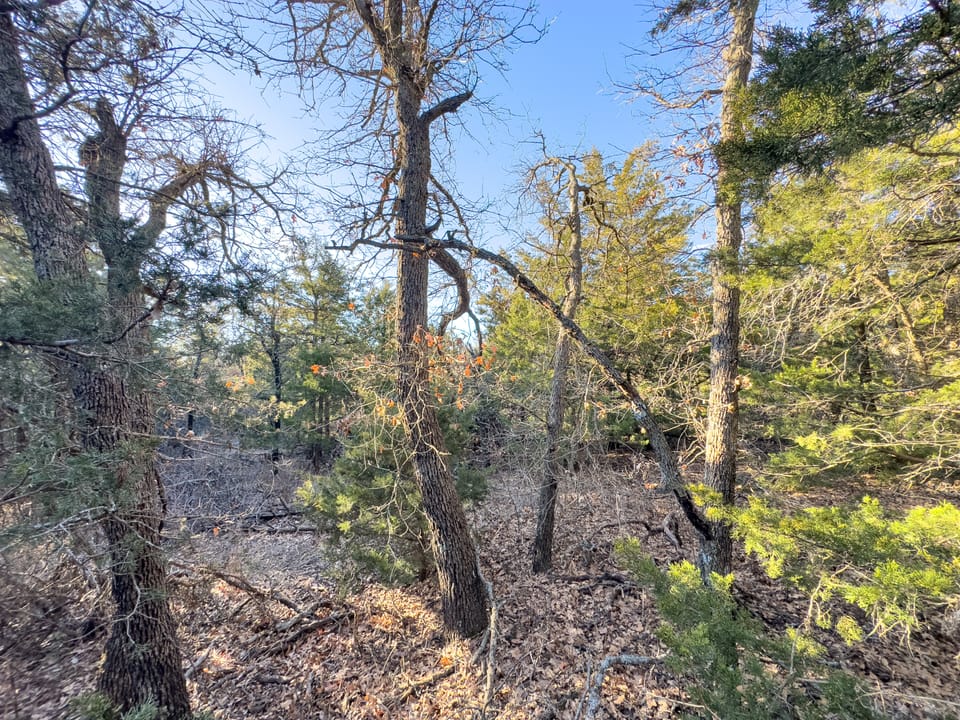 Sandy Cedar Hunting Farm