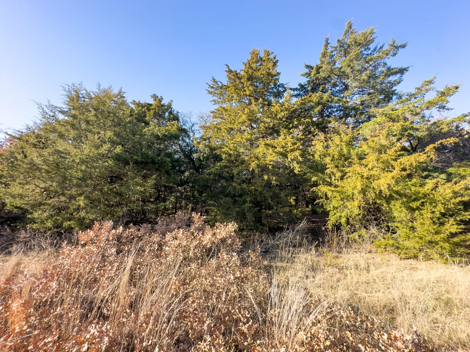 Sandy Cedar Hunting Farm