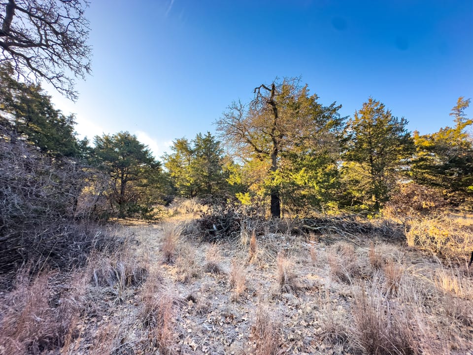 Sandy Cedar Hunting Farm
