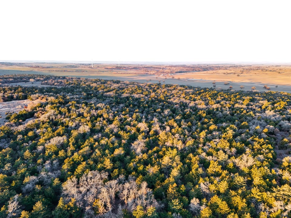 Sandy Cedar Hunting Farm