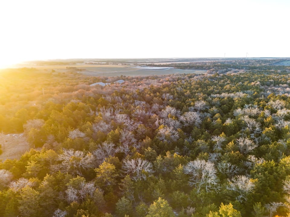Sandy Cedar Hunting Farm