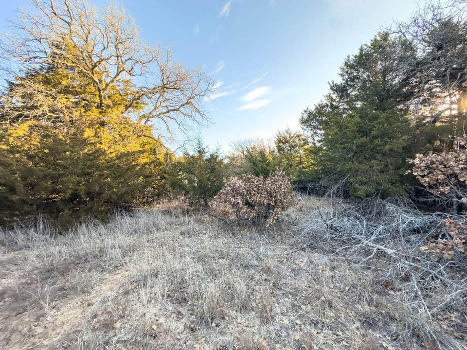 Sandy Cedar Hunting Farm