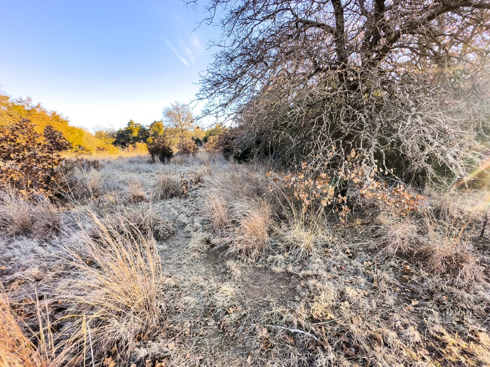 Sandy Cedar Hunting Farm