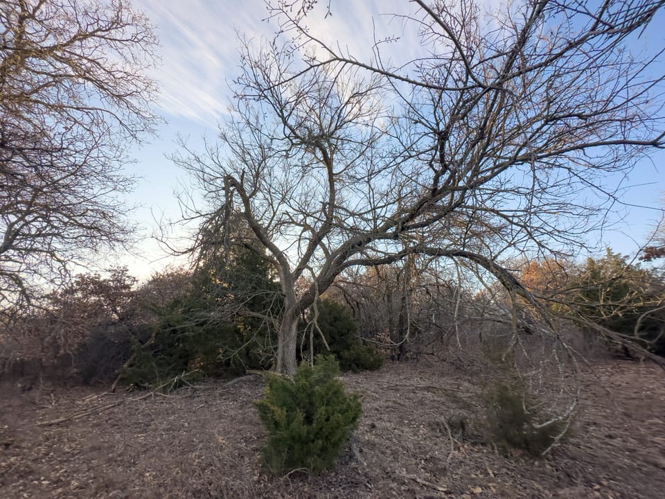 The Cedar Flat Hunting Farm