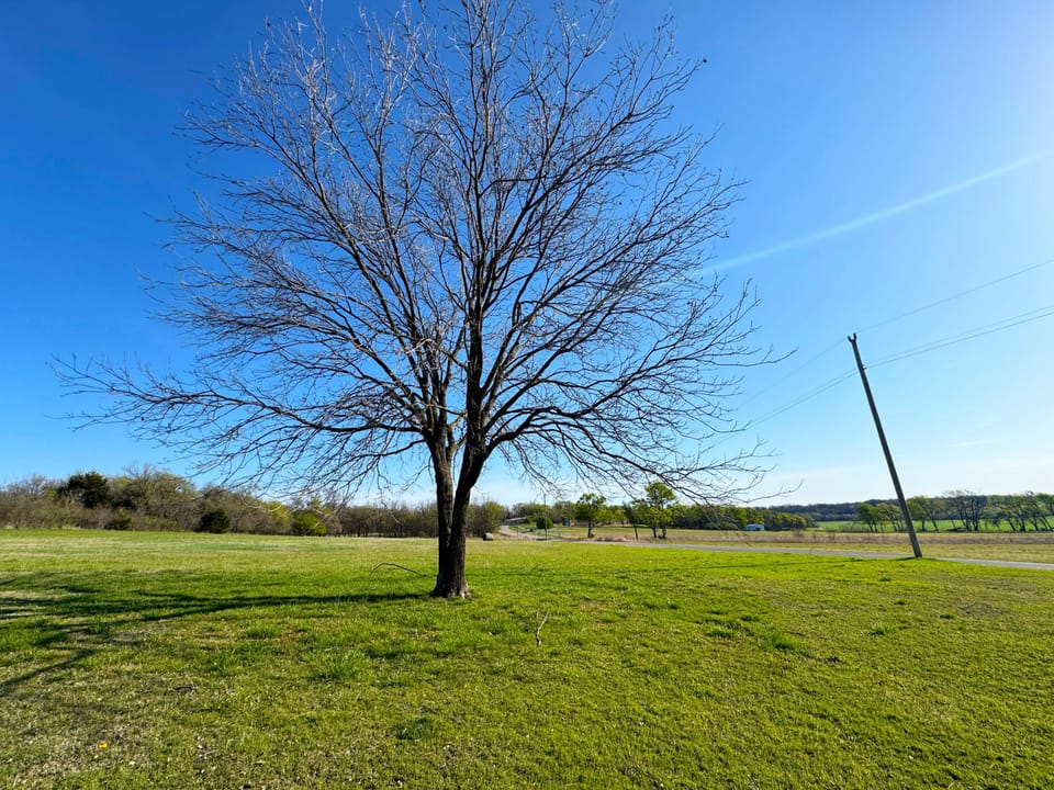 Fairfax Lake Road Home