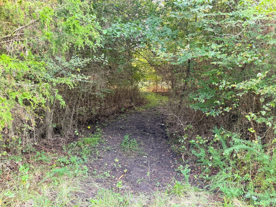 Hidden Cabin Hunting Farm