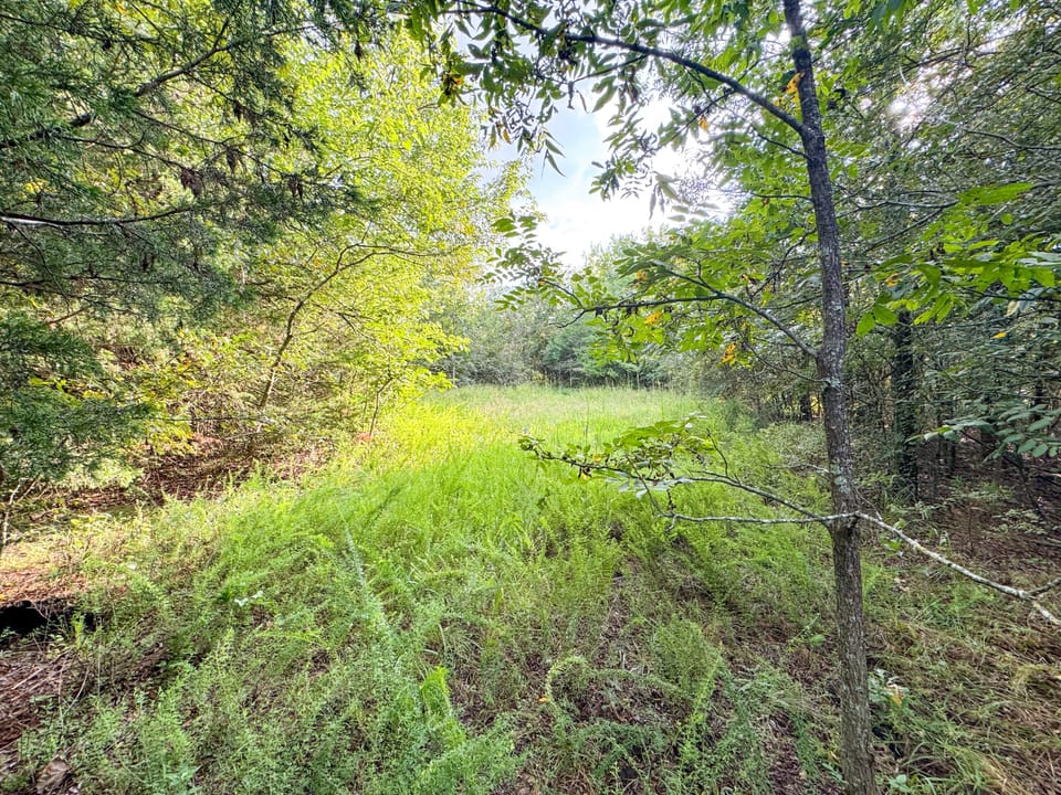 Hidden Cabin Hunting Farm