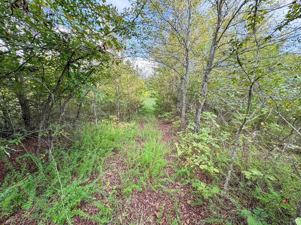 Hidden Cabin Hunting Farm