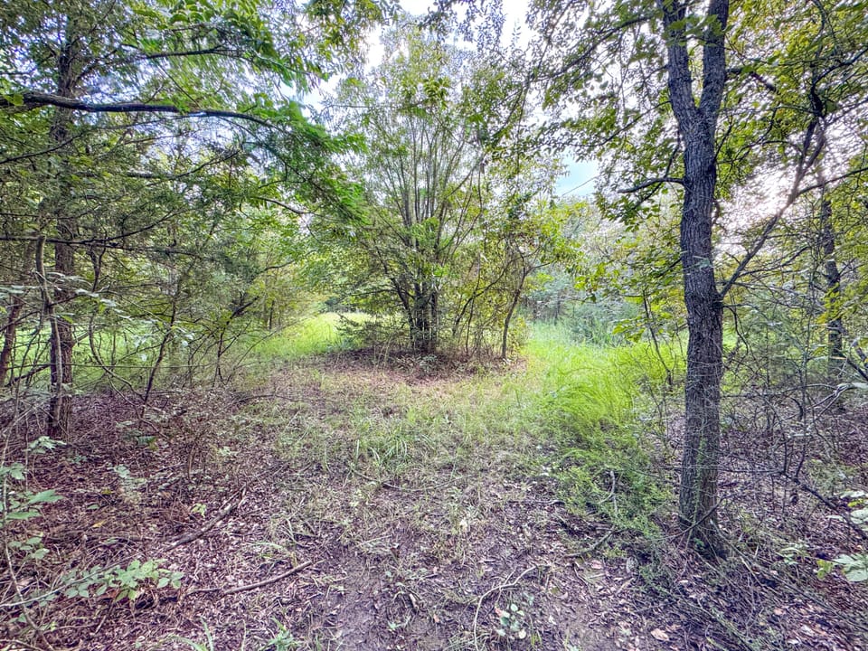 Hidden Cabin Hunting Farm
