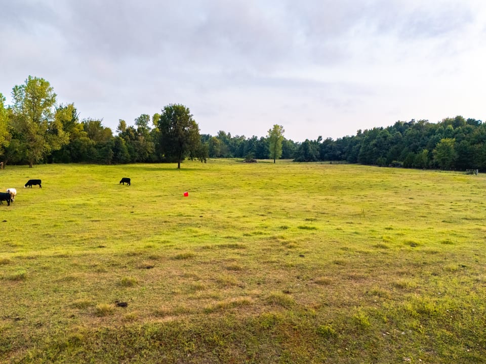 The S Dobbs Ranch