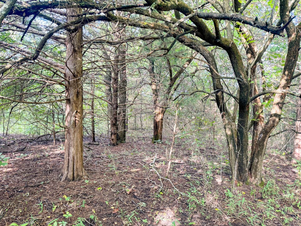 Hidden Cabin Hunting Farm