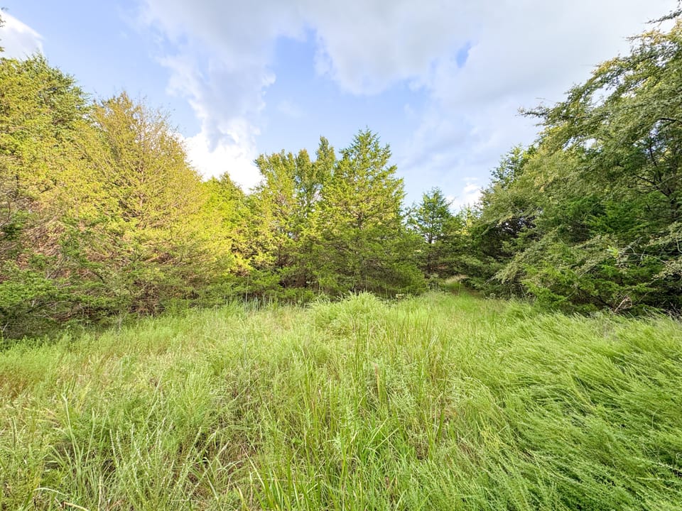 Hidden Cabin Hunting Farm