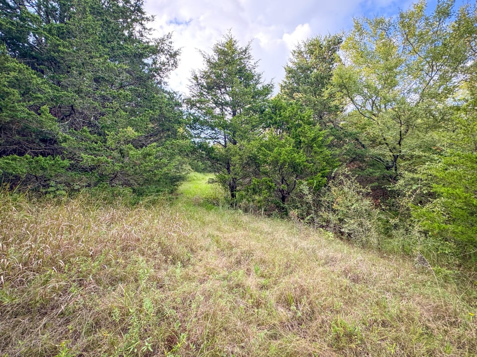 Hidden Cabin Hunting Farm