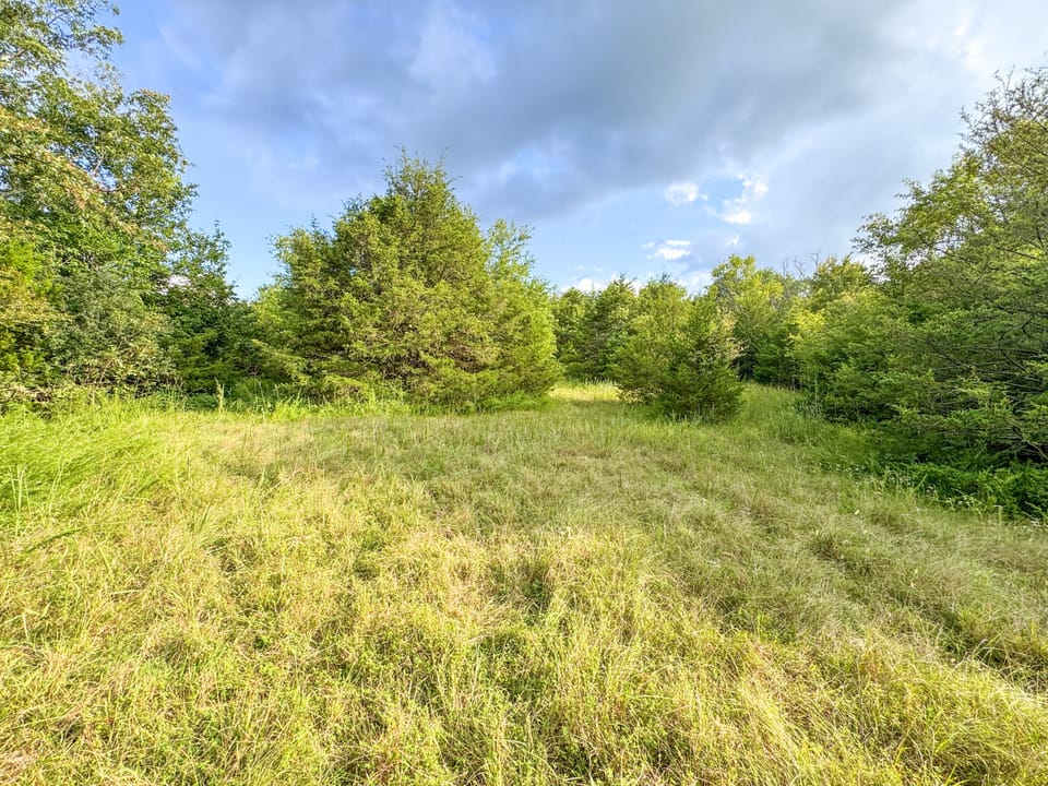 Hidden Cabin Hunting Farm