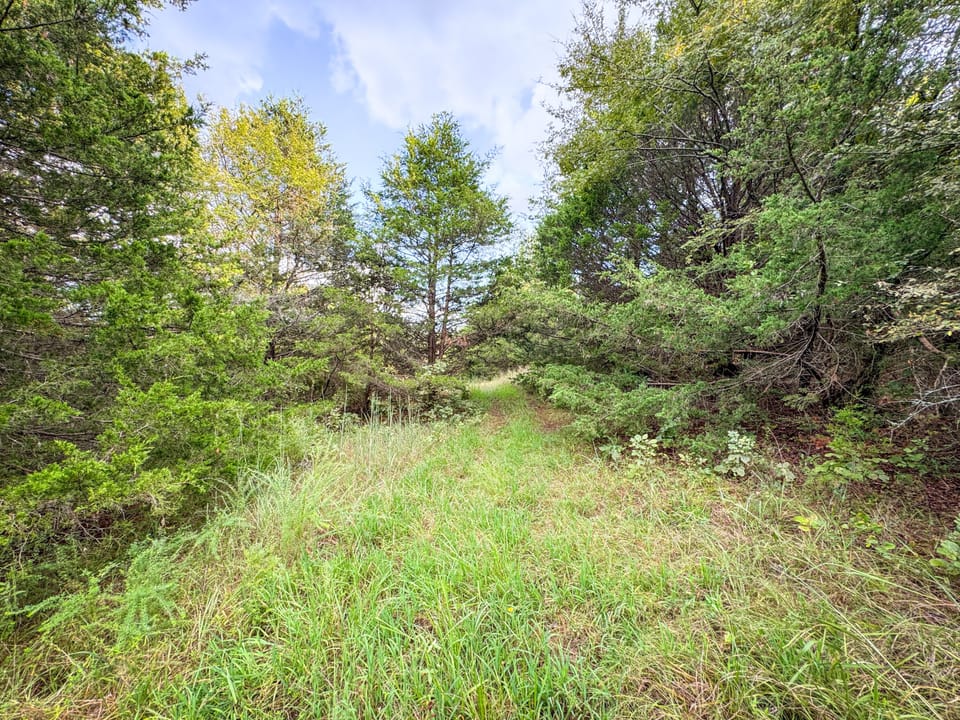 Hidden Cabin Hunting Farm