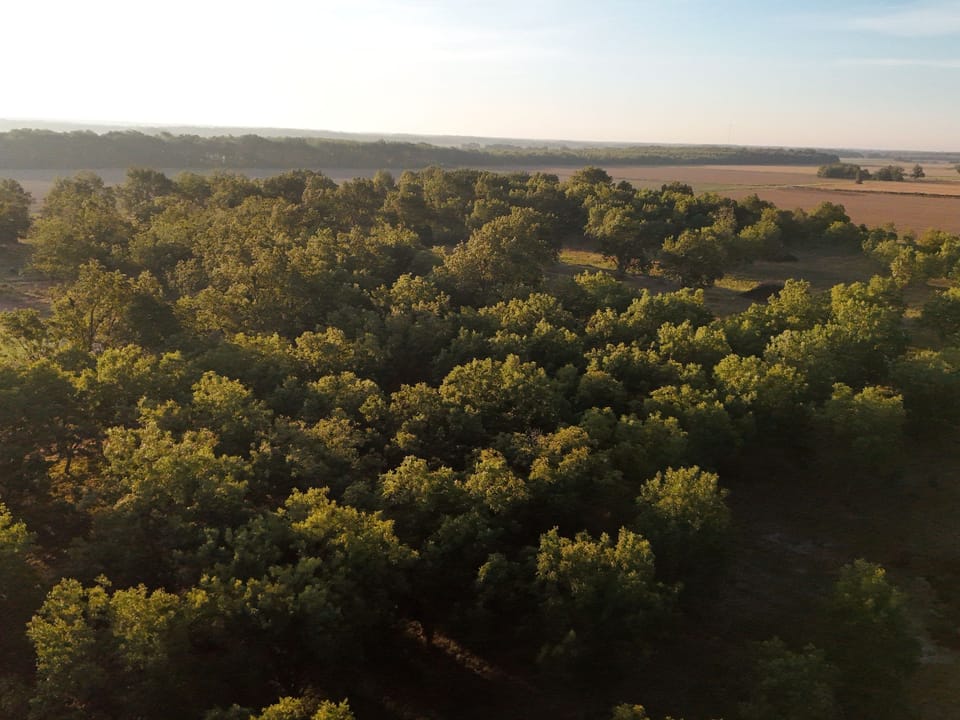 Dji 20260924085434 0599 D