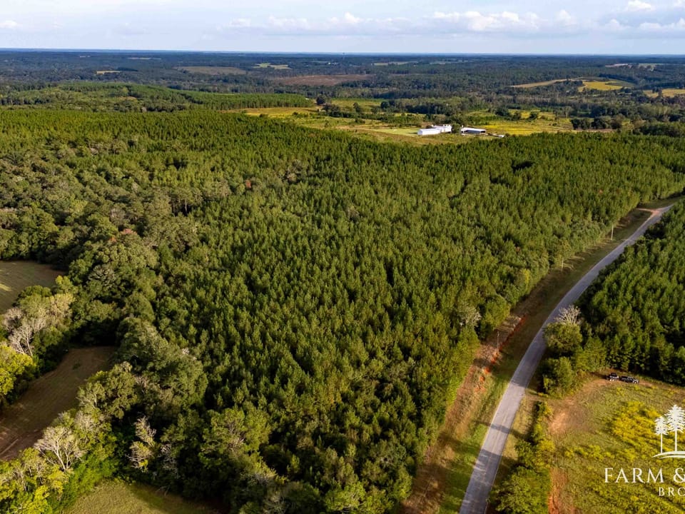 Dji 20261007170902 0366 D Hdr