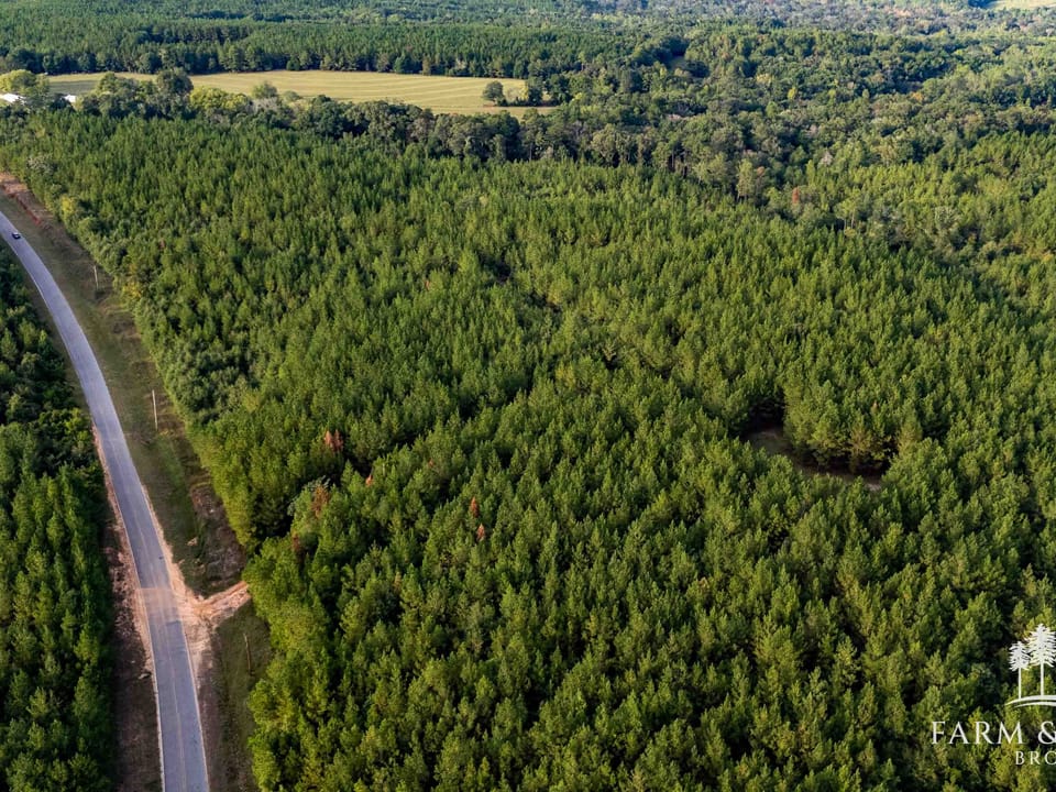 Dji 20261007171337 0396 D Hdr