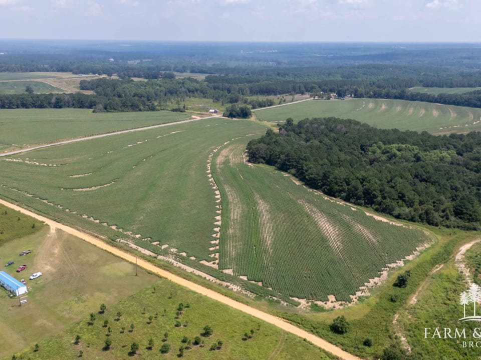 Dji 20260824121252 0290 D Hdr
