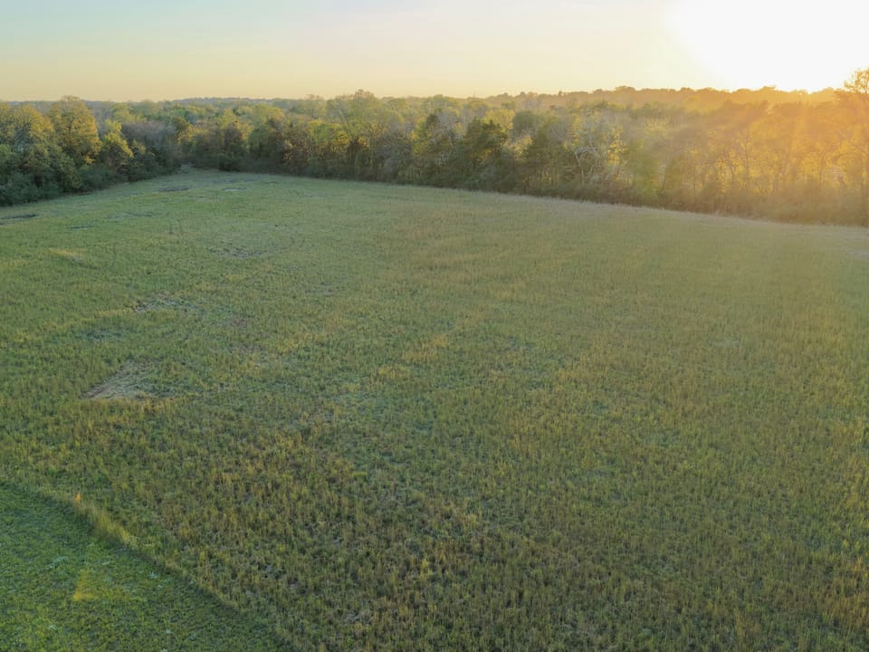 Dji 20261013175019 0011 D