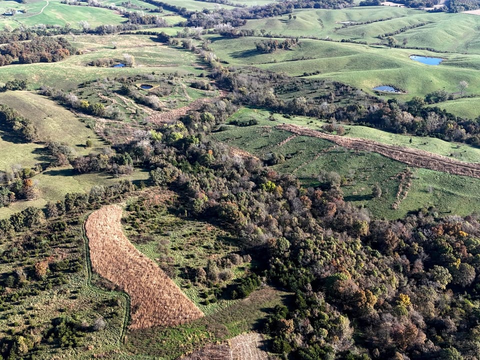 Dji 20261022095836 0548 D Jpg