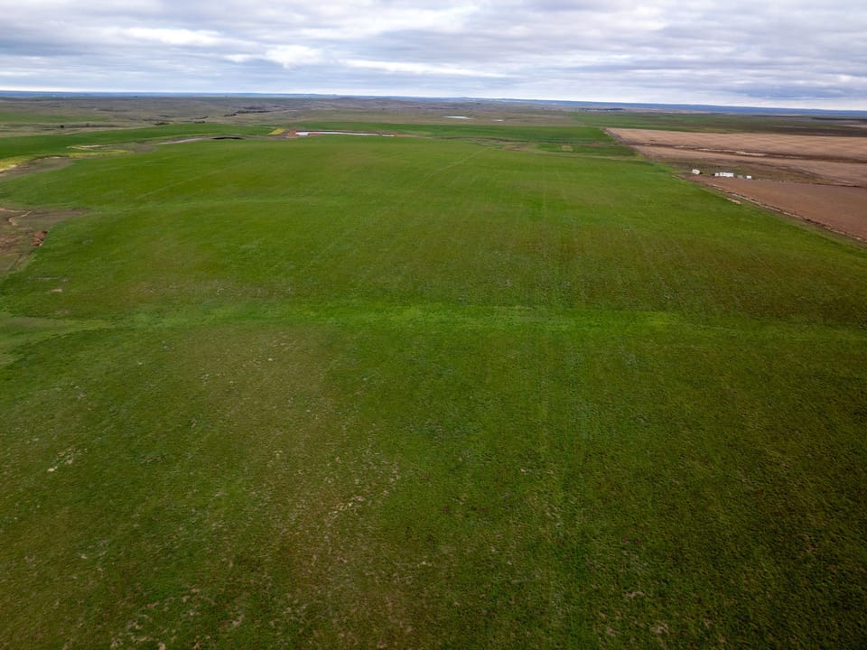 Dji Fly 20261016 085958 0008 1792180855903 Photo