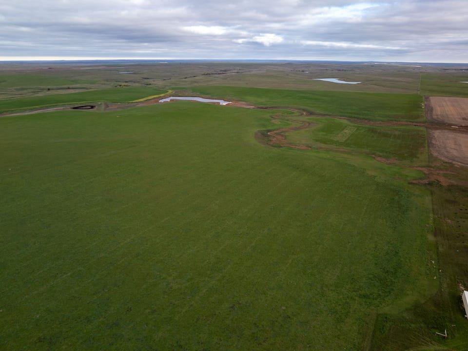 Dji Fly 20261016 090102 0010 1792180855122 Photo
