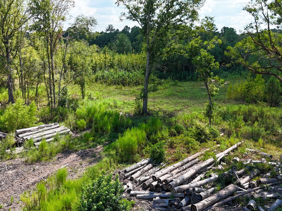 Compass South Land Sales Locust Bayou 04