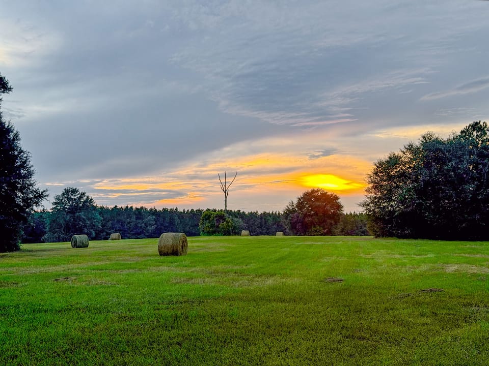 Compass South Land Sales Hunter Branch 03