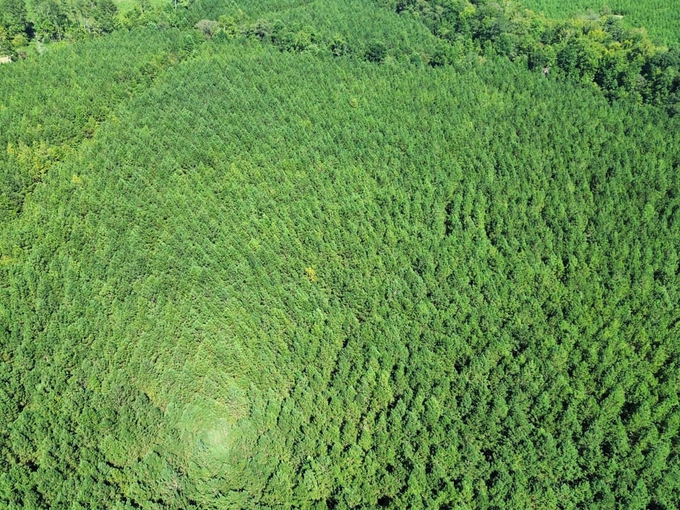 Dji Fly 20260908 155614 182 1788898027736 Photo Optimized