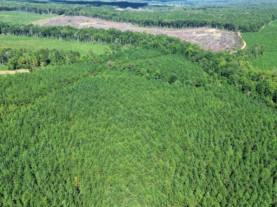 Dji Fly 20260908 155626 183 1788898021837 Photo Optimized