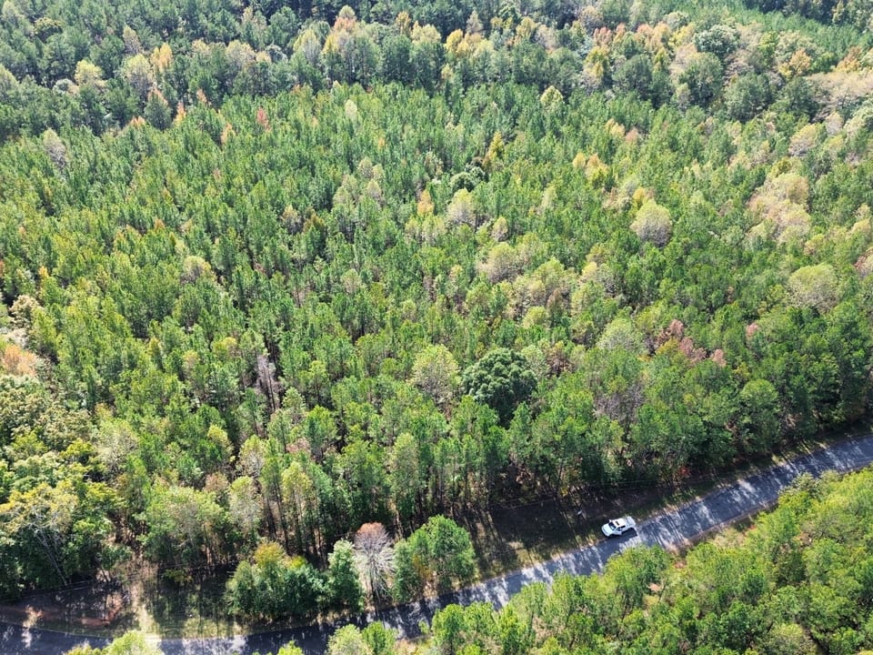 Dji Fly 20261028 142720 276 1793212080967 Photo Optimized Jpeg