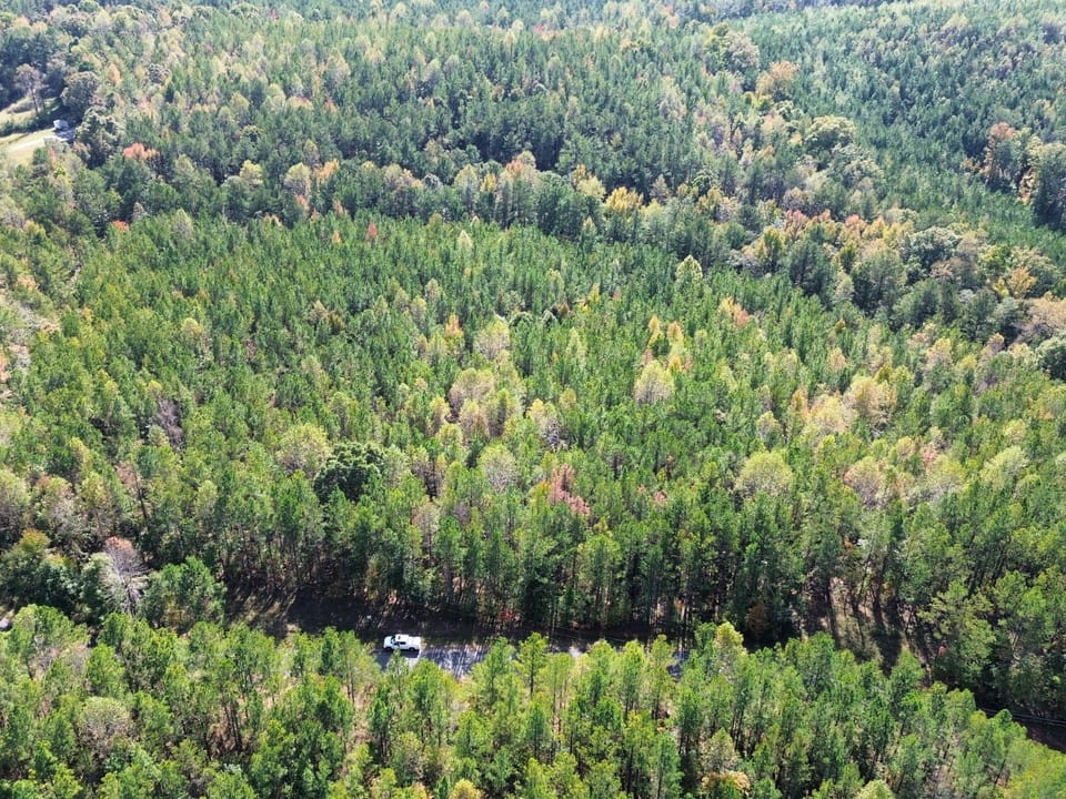 Dji Fly 20261028 142704 275 1793212088520 Photo Optimized Jpeg
