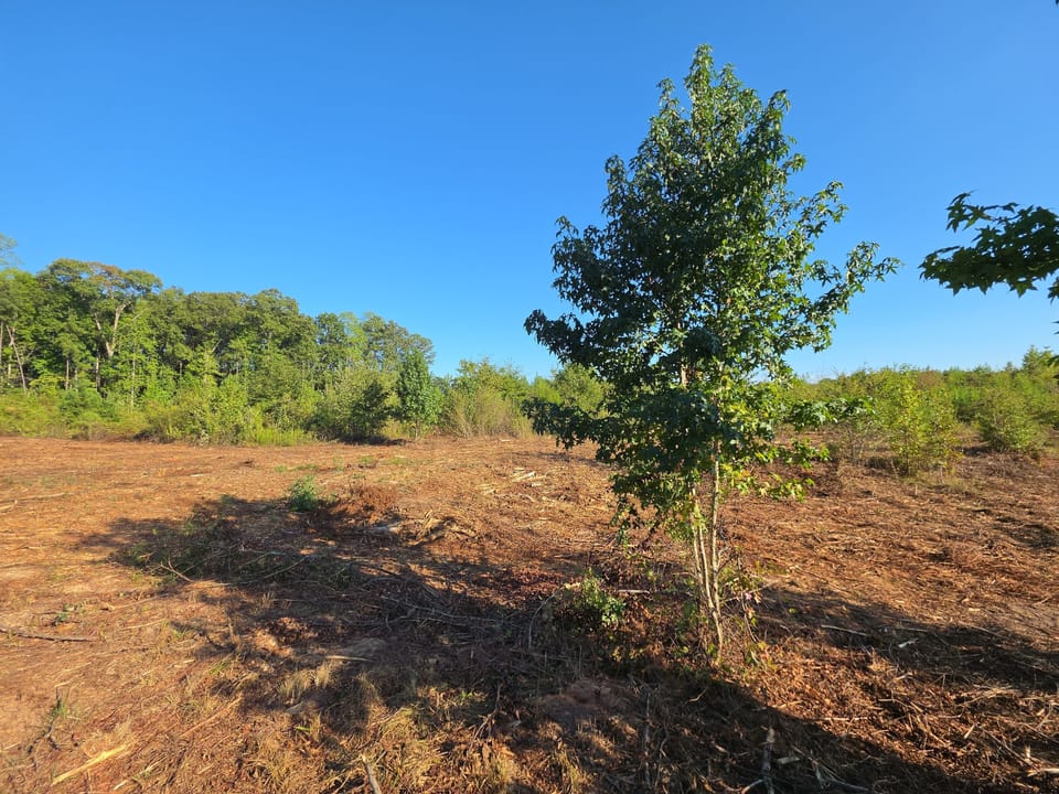 Butler Rd Tract 5 04