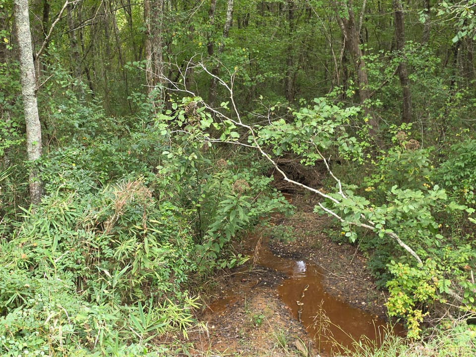 Butler Rd Tract 2 01