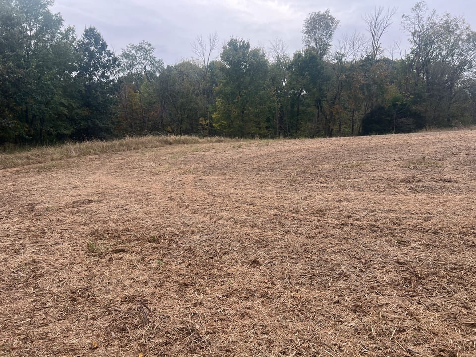 Brown Il 60 Acres Land For Sale Property1 Jpg