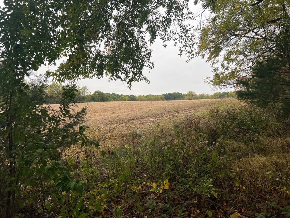 Brown Il 60 Acres Land For Sale Property9 Jpg