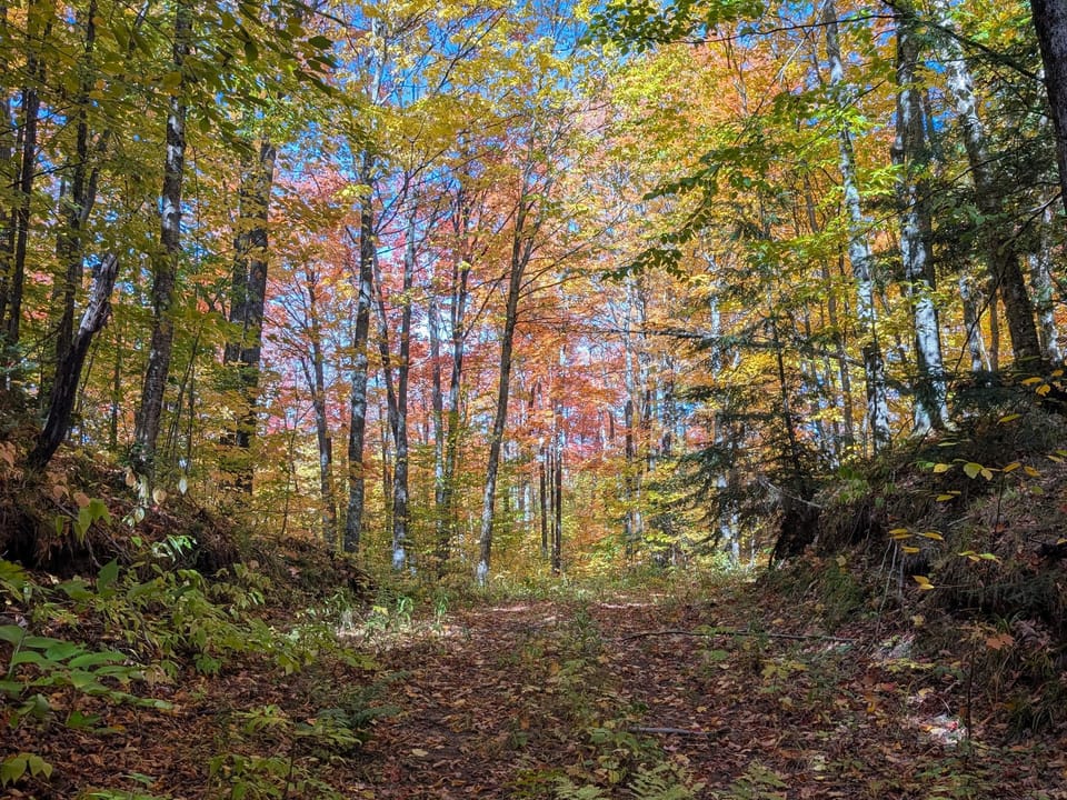 Iron Wi 40 Acres Land For Sale Property1