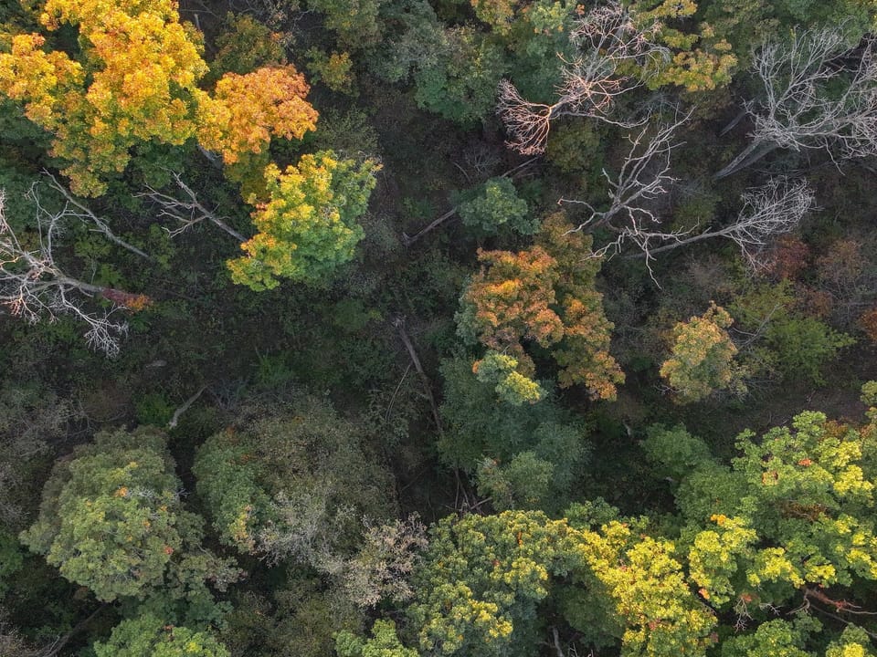 Dji 20261009071659 0169 D