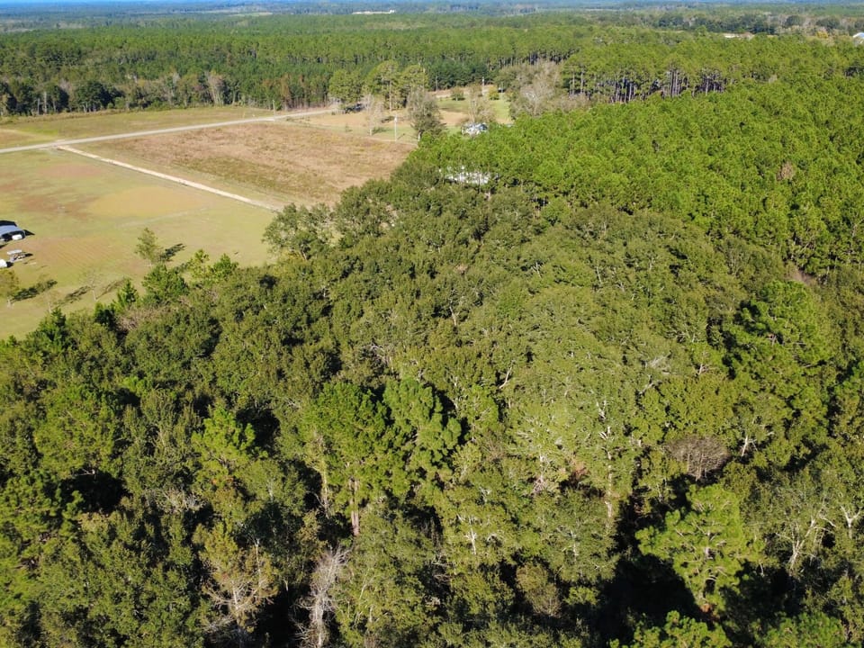 Dji Fly 20261019 163116 495 1792442027709 Photo Optimized