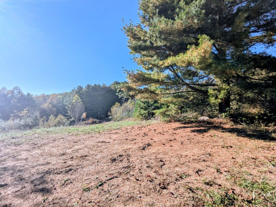 Pxl 20261021 195458510 2