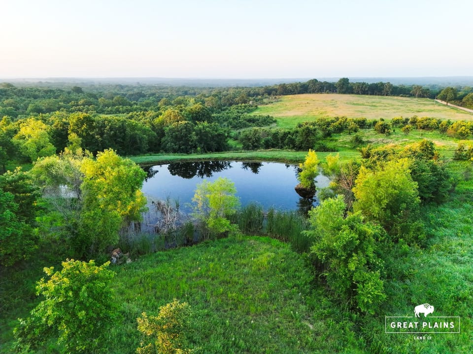 Dji 20260617063401 0005 V