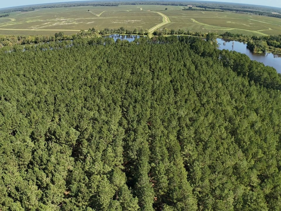 Dji Fly 20260916 111626 0901 1789581003569 Photo