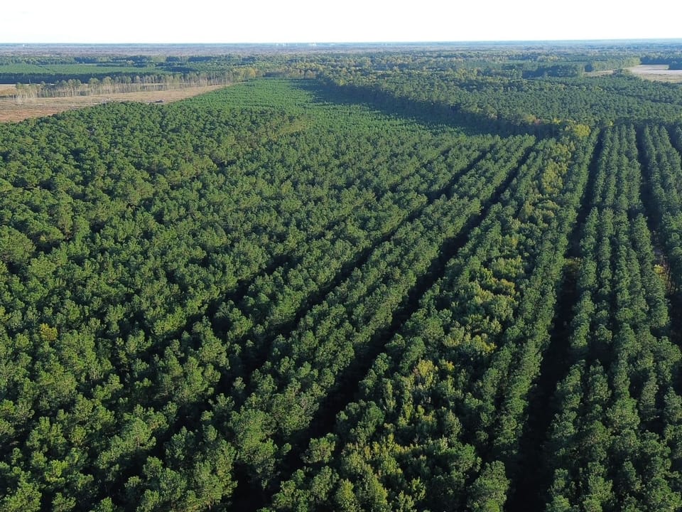 Dji Fly 20261012 173012 127 1791840669785 Photo Optimized Jpg