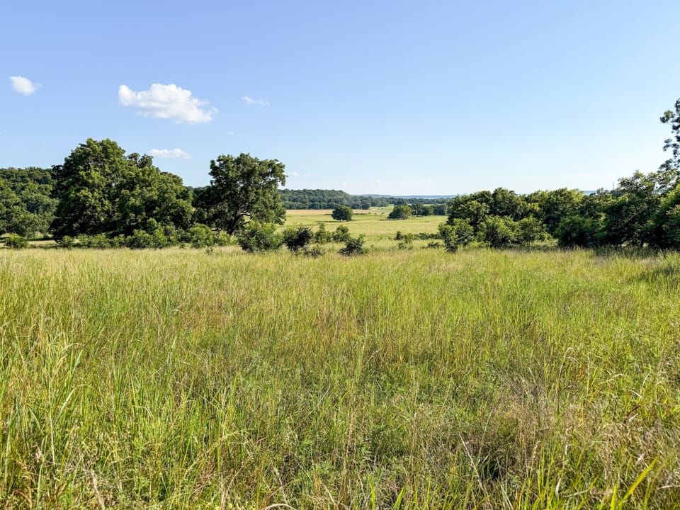 Img 0912