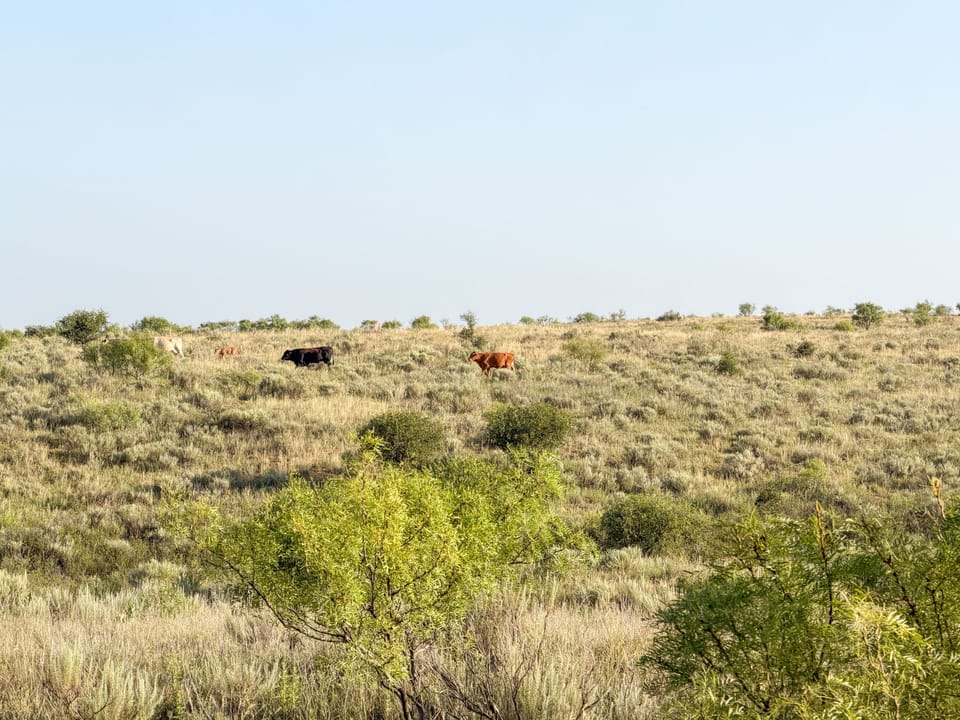Img 7893
