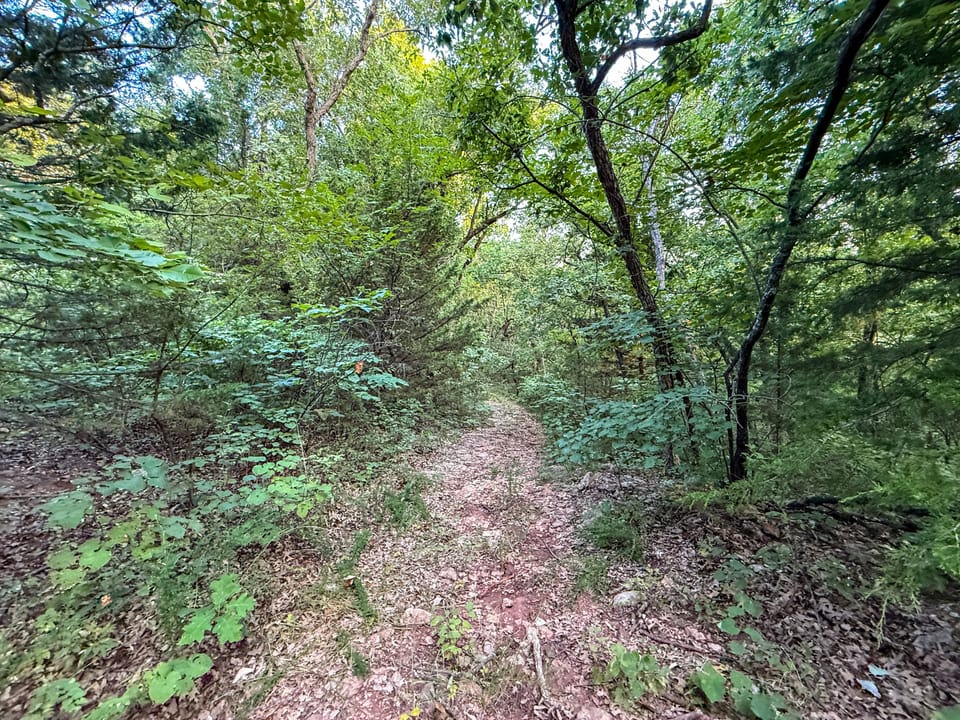 Img 3866 2