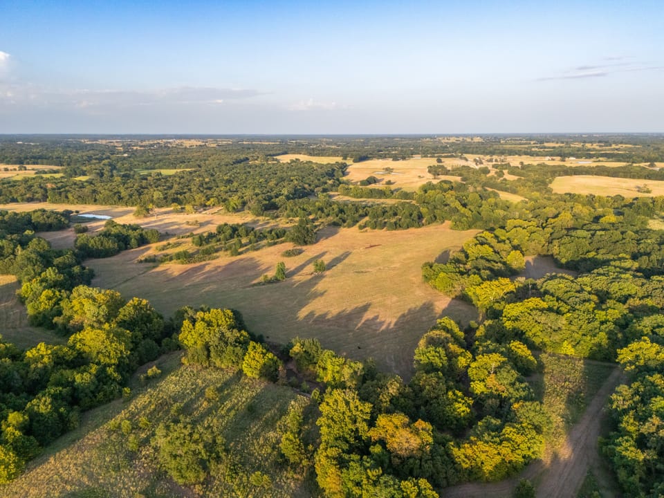 Dji 20260817193149 0269 D