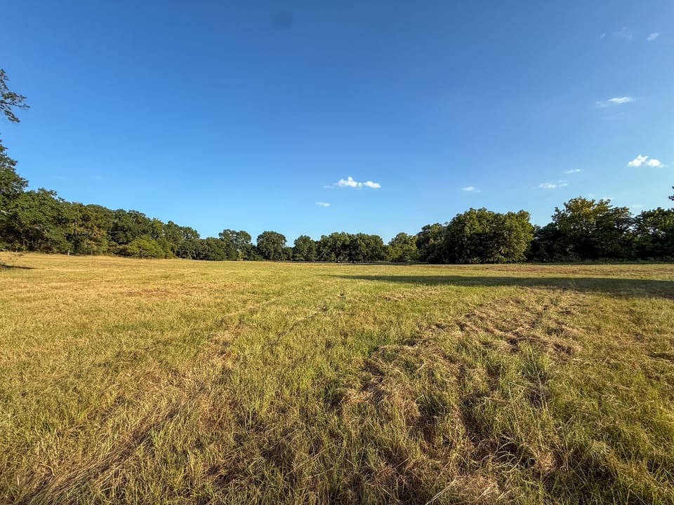 Img 4323 2